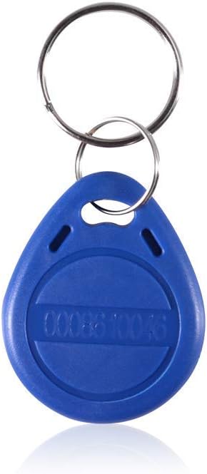 100 Key Fobs