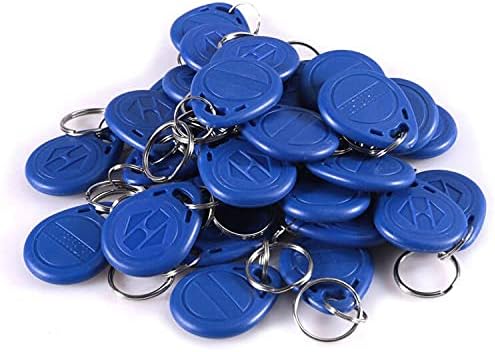 100 Key Fobs