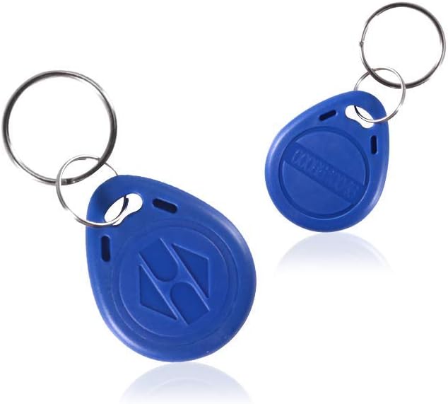 100 Key Fobs