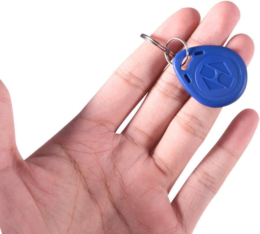100 Key Fobs